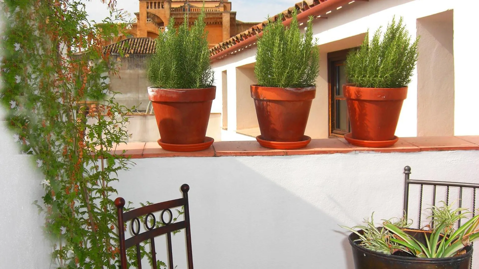 Apartamentos Los Patios De La Juderia Cordoba 0*,  Spain