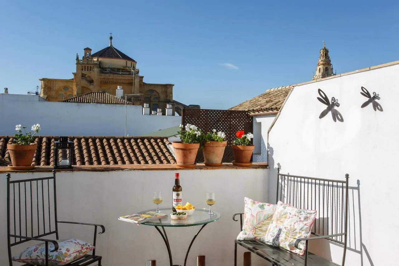 Apartamentos Los Patios De La Juderia Κόρδοβα 0*,  Ισπανία