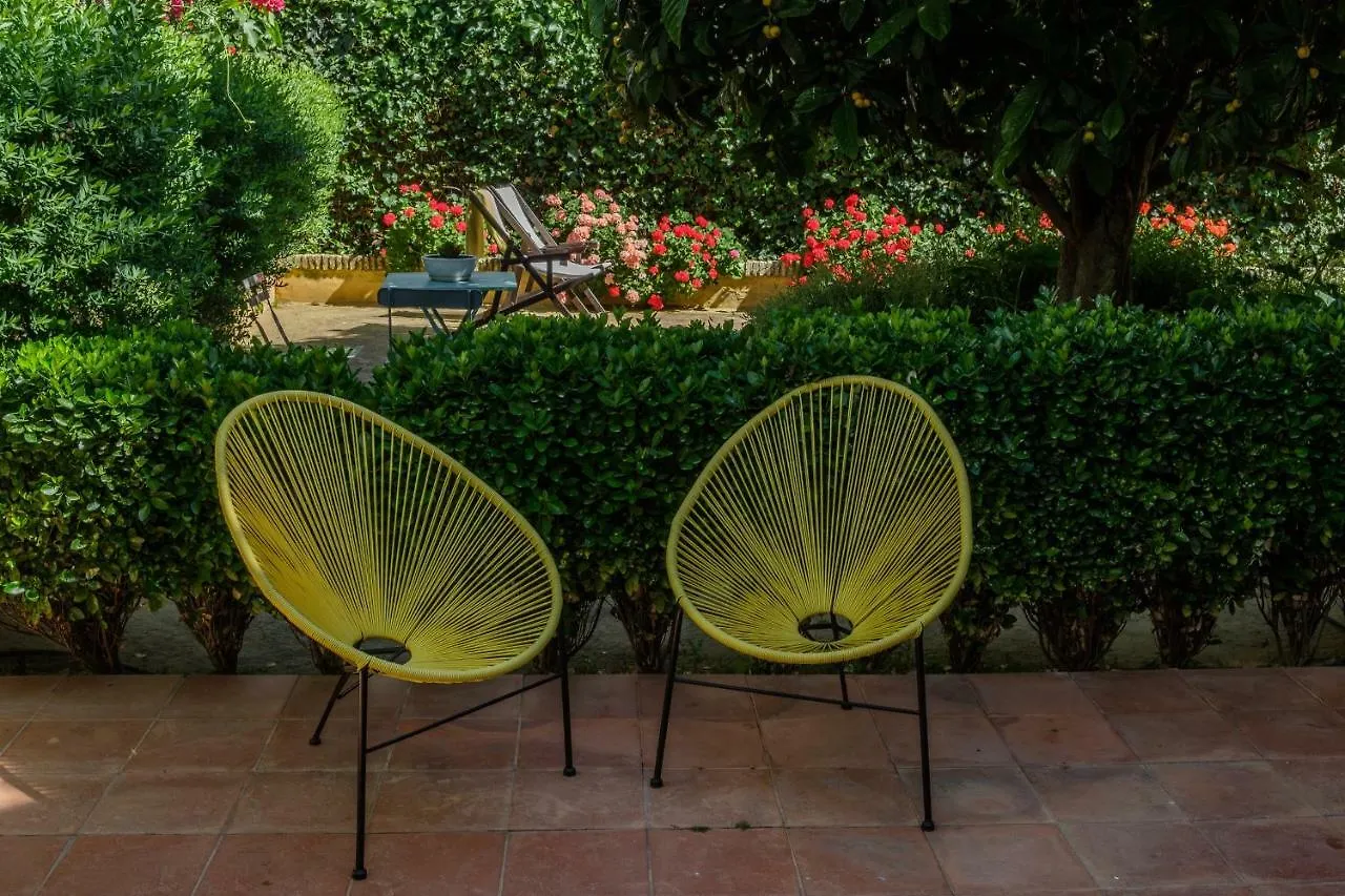Apartamentos Los Patios De La Juderia Κόρδοβα Ισπανία